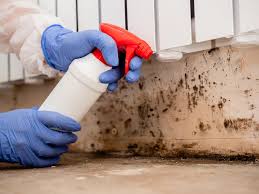 Best Environmental Consulting for Mold Prevention  in Rosedale, CA